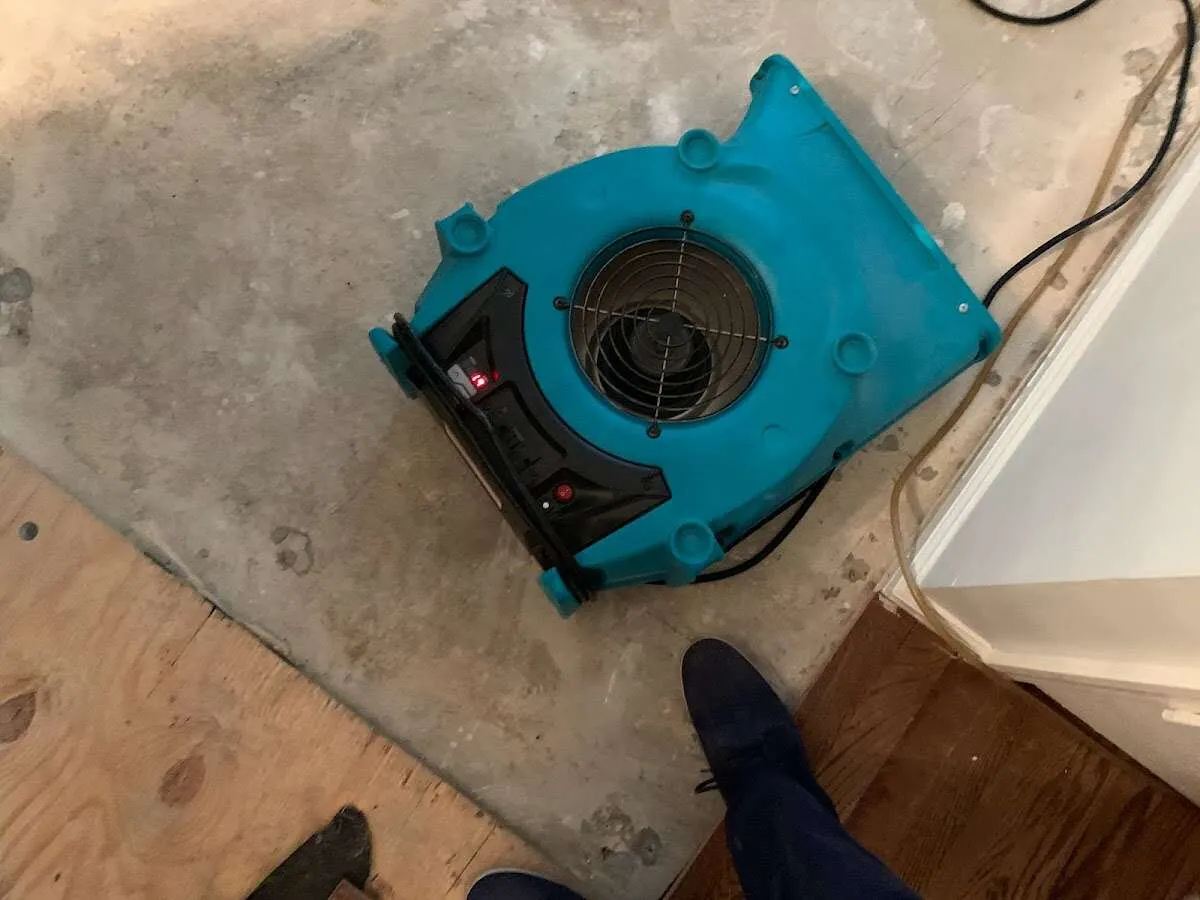 Air mover drying subfloor during Leak Detection & Repair in Bowling Green
